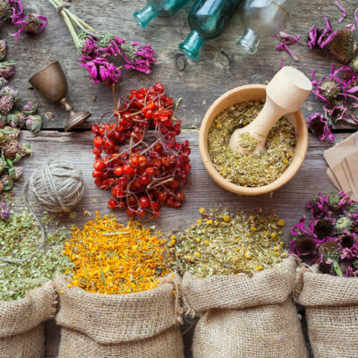 7 Herbs and Spices That are Toxic for Pets