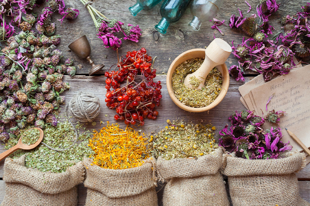 7 Herbs and Spices That are Toxic for Pets